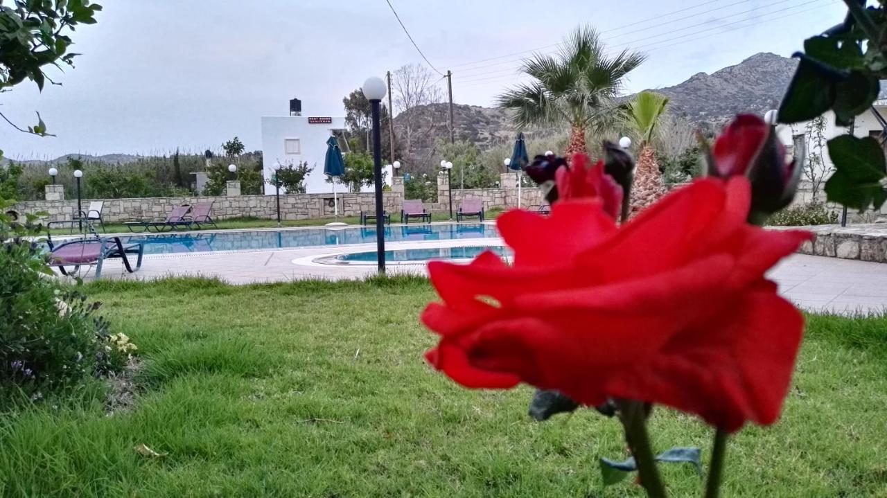 Dimitris Villa Hotel Matala Buitenkant foto