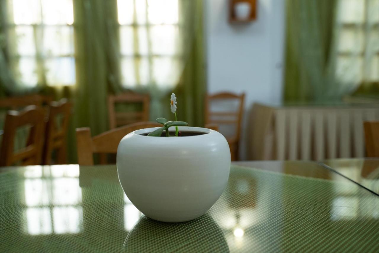 Dimitris Villa Hotel Matala Buitenkant foto